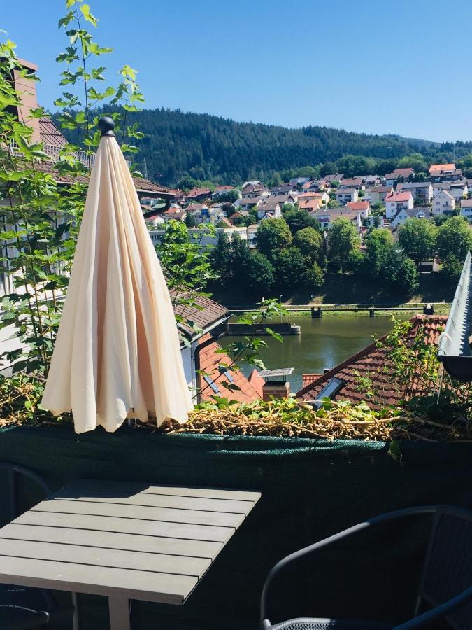 Natur Und Neckarblick Bei Heidelberg Hirschhorn Kültér fotó