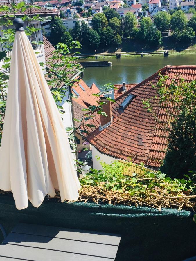 Natur Und Neckarblick Bei Heidelberg Hirschhorn Kültér fotó