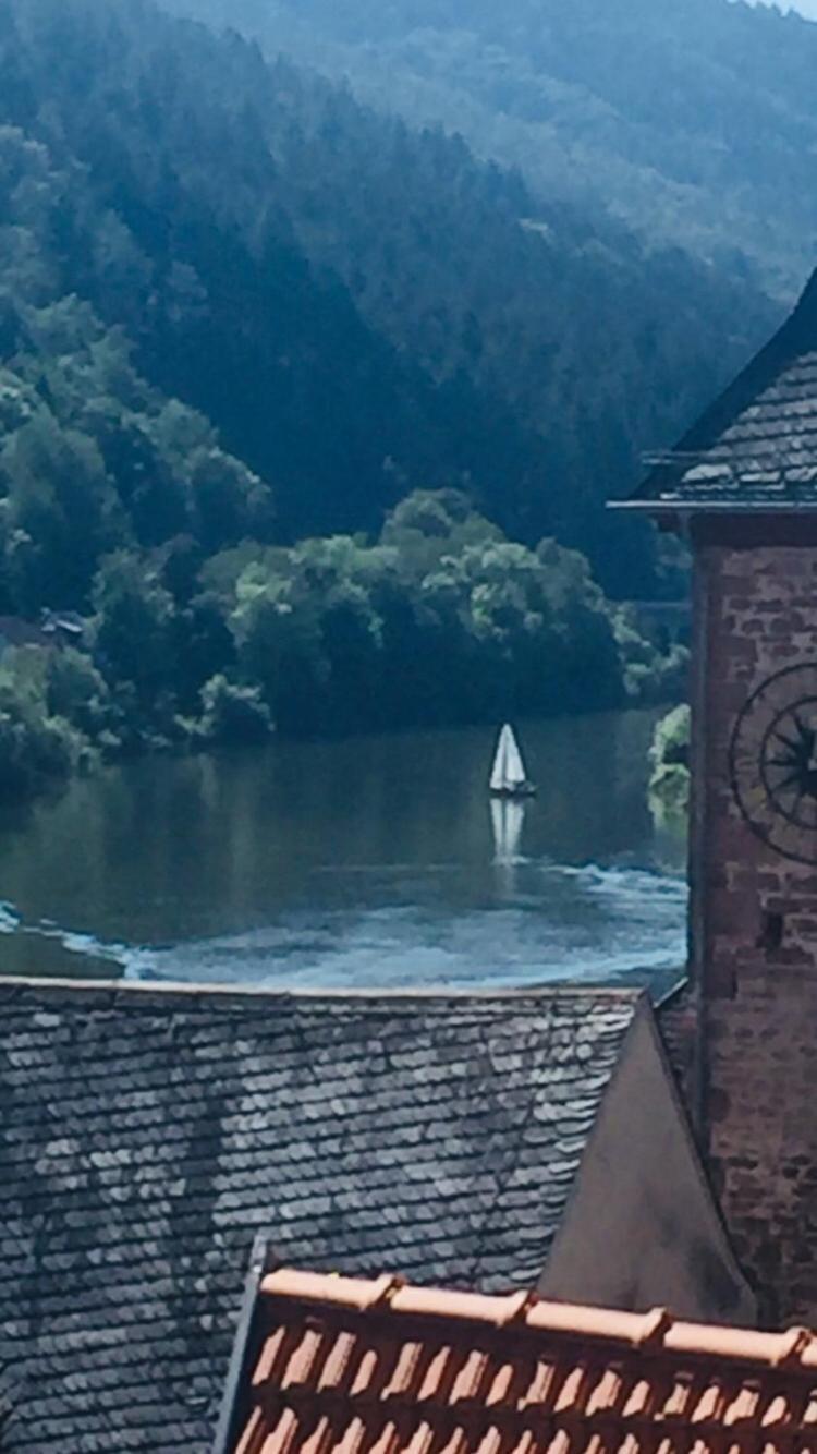 Natur Und Neckarblick Bei Heidelberg Hirschhorn Kültér fotó