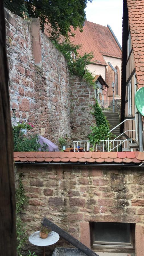 Natur Und Neckarblick Bei Heidelberg Hirschhorn Kültér fotó