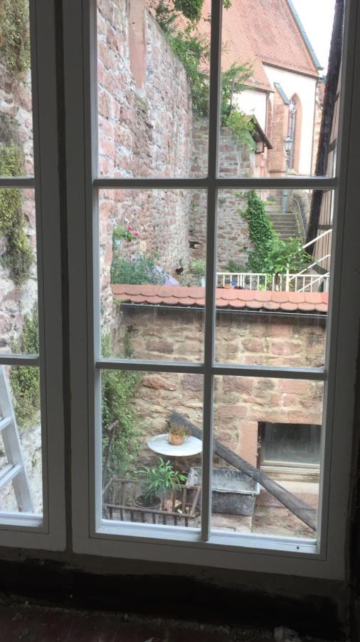Natur Und Neckarblick Bei Heidelberg Hirschhorn Kültér fotó