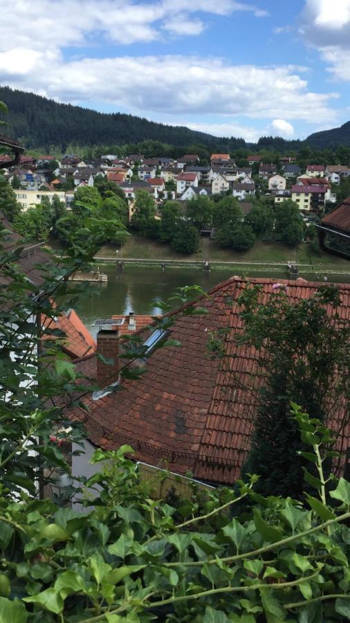 Natur Und Neckarblick Bei Heidelberg Hirschhorn Kültér fotó