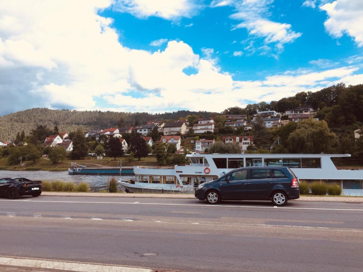 Natur Und Neckarblick Bei Heidelberg Hirschhorn Kültér fotó