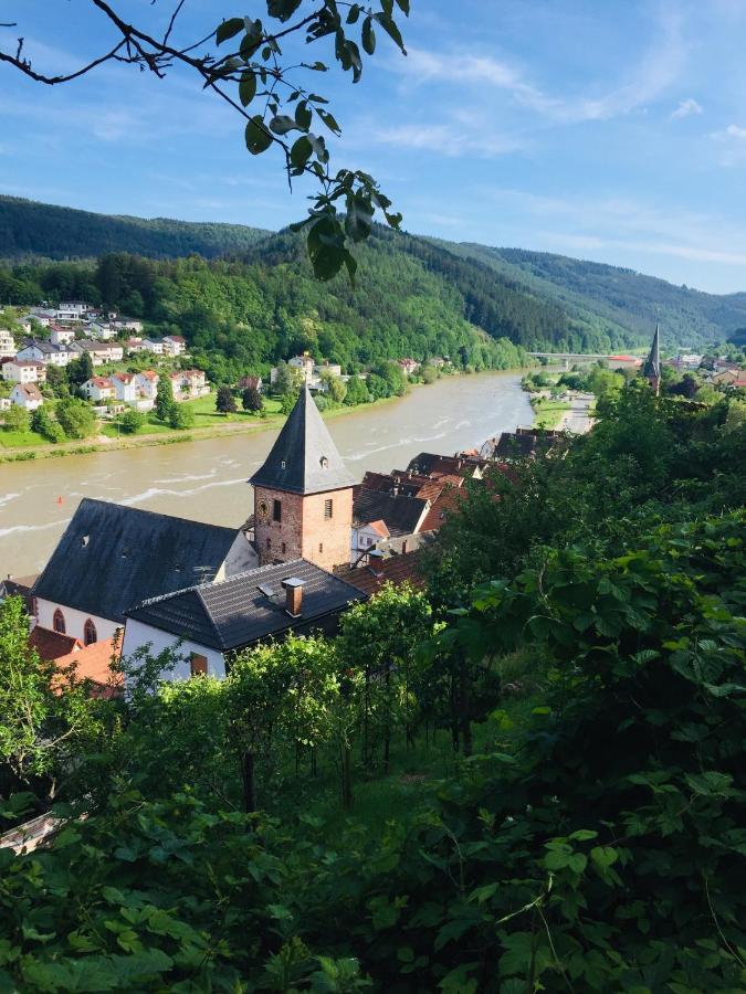Natur Und Neckarblick Bei Heidelberg Hirschhorn Kültér fotó