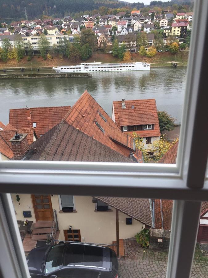 Natur Und Neckarblick Bei Heidelberg Hirschhorn Kültér fotó
