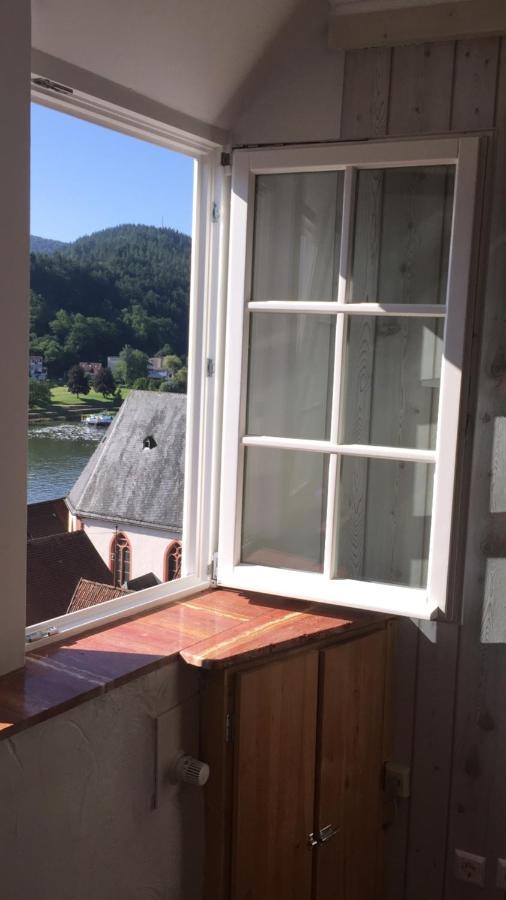 Natur Und Neckarblick Bei Heidelberg Hirschhorn Kültér fotó