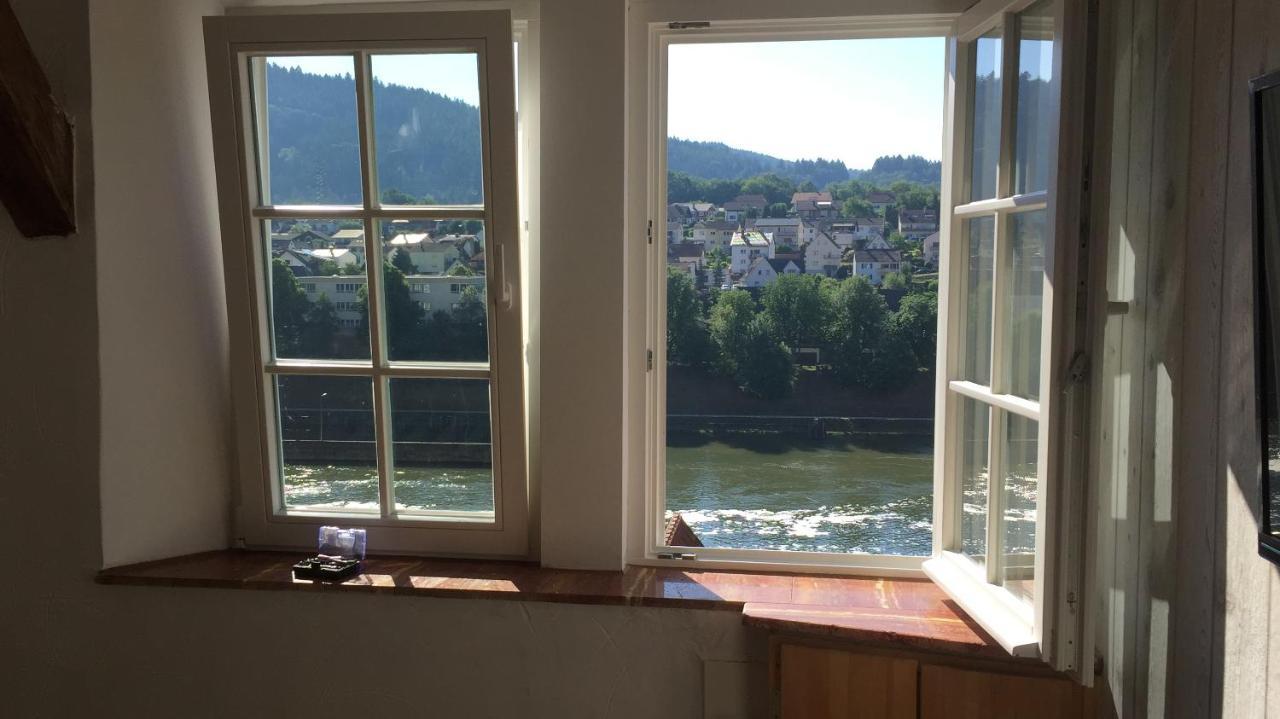 Natur Und Neckarblick Bei Heidelberg Hirschhorn Kültér fotó
