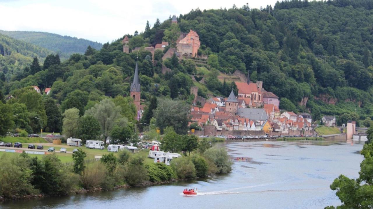 Natur Und Neckarblick Bei Heidelberg Hirschhorn Kültér fotó