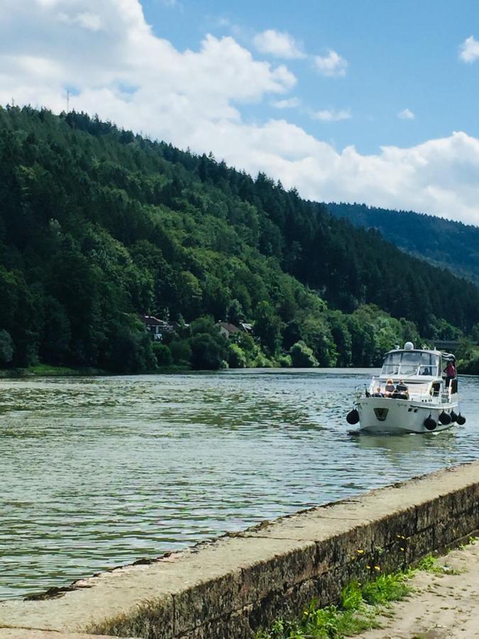 Natur Und Neckarblick Bei Heidelberg Hirschhorn Kültér fotó