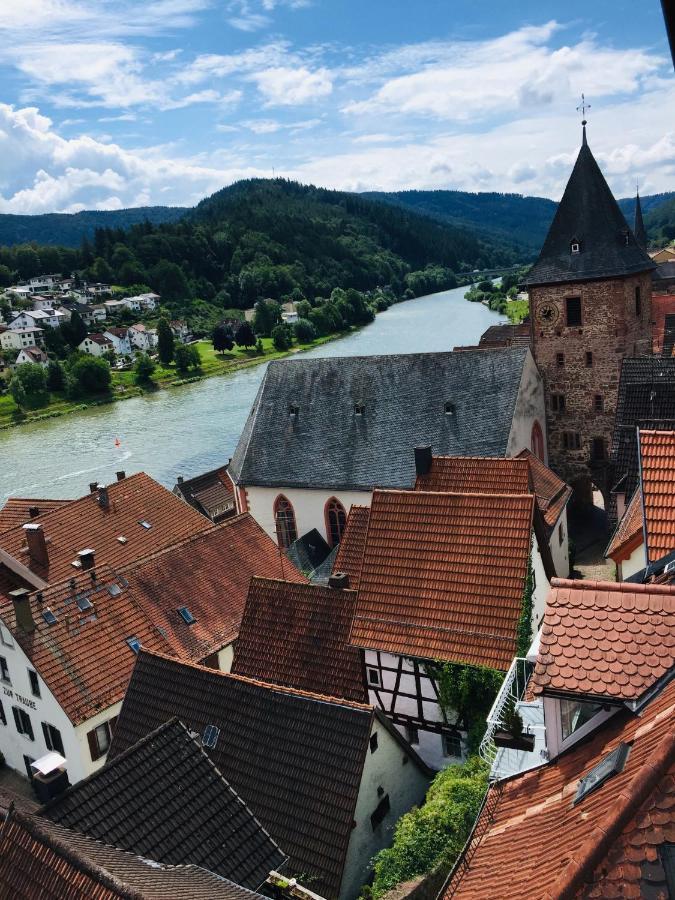 Natur Und Neckarblick Bei Heidelberg Hirschhorn Kültér fotó