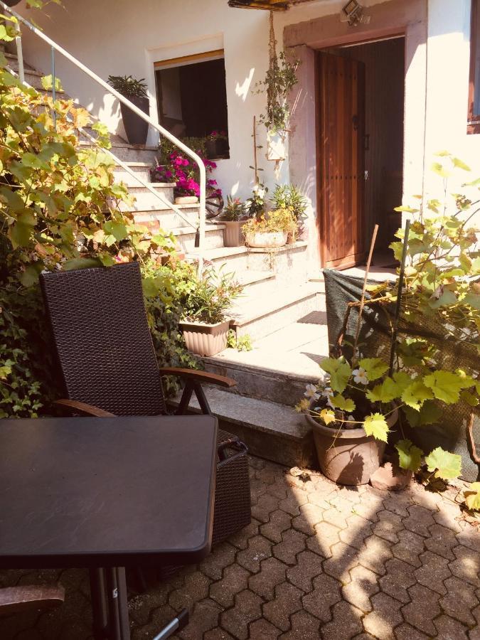 Natur Und Neckarblick Bei Heidelberg Hirschhorn Kültér fotó