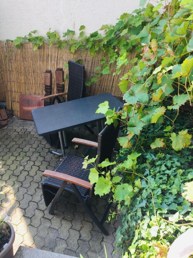 Natur Und Neckarblick Bei Heidelberg Hirschhorn Kültér fotó