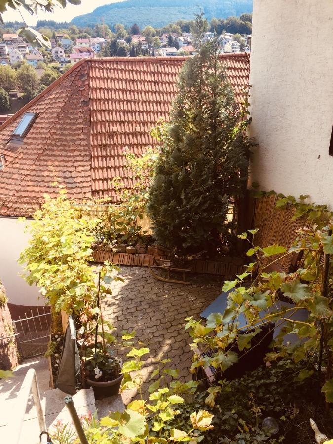 Natur Und Neckarblick Bei Heidelberg Hirschhorn Kültér fotó