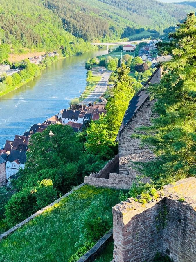 Natur Und Neckarblick Bei Heidelberg Hirschhorn Kültér fotó