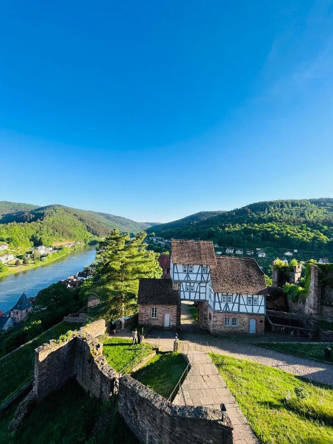 Natur Und Neckarblick Bei Heidelberg Hirschhorn Kültér fotó