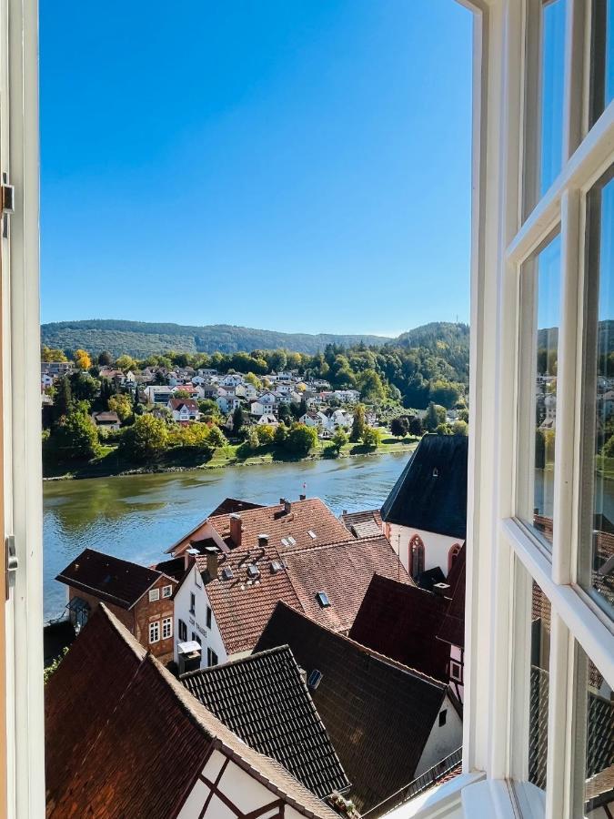 Natur Und Neckarblick Bei Heidelberg Hirschhorn Kültér fotó