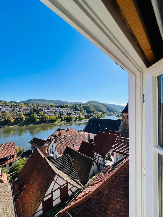 Natur Und Neckarblick Bei Heidelberg Hirschhorn Kültér fotó