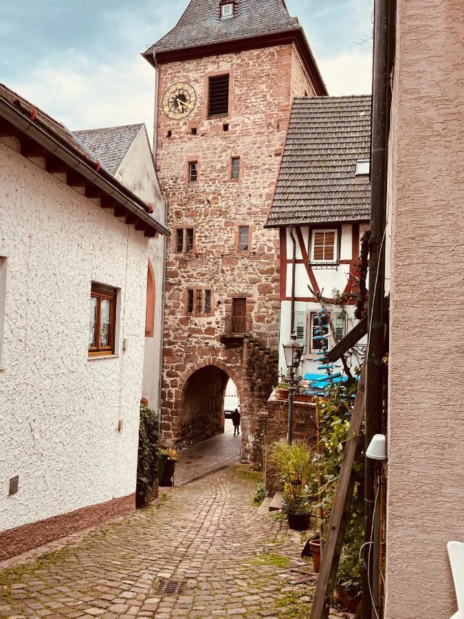 Natur Und Neckarblick Bei Heidelberg Hirschhorn Kültér fotó
