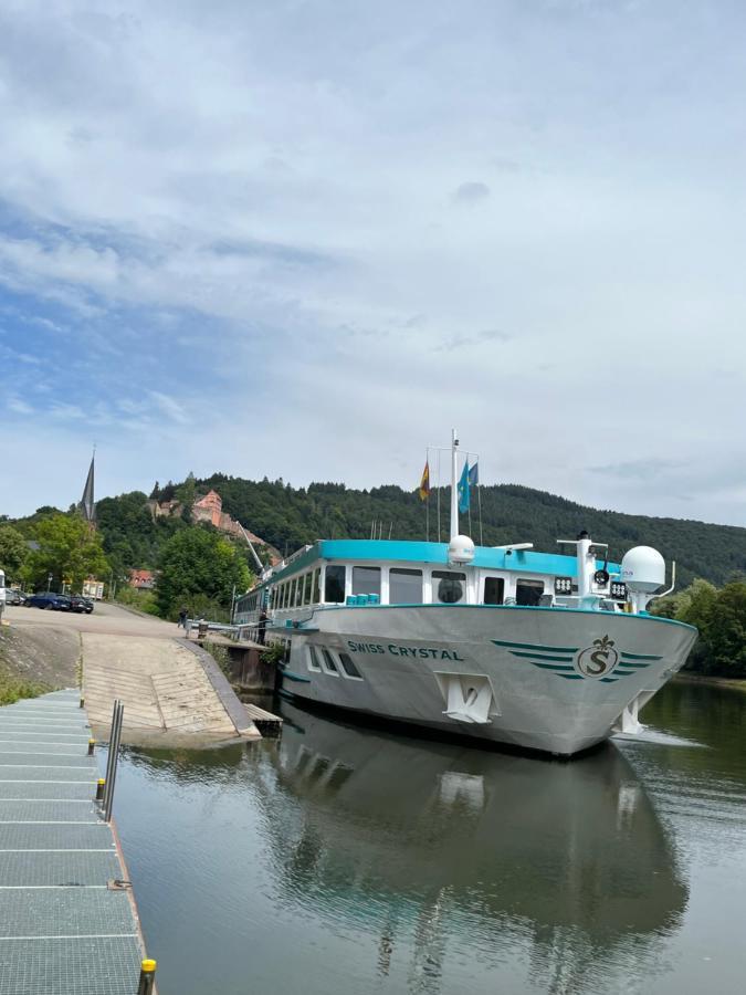 Natur Und Neckarblick Bei Heidelberg Hirschhorn Kültér fotó