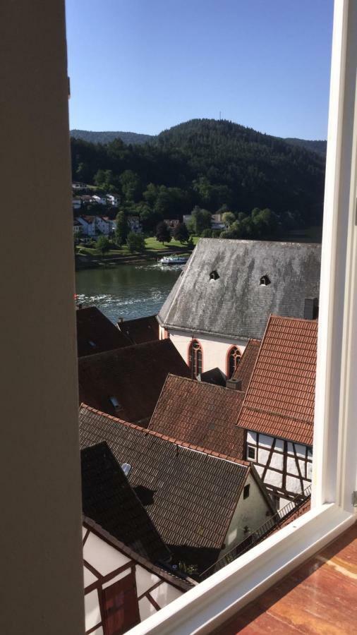 Natur Und Neckarblick Bei Heidelberg Hirschhorn Kültér fotó