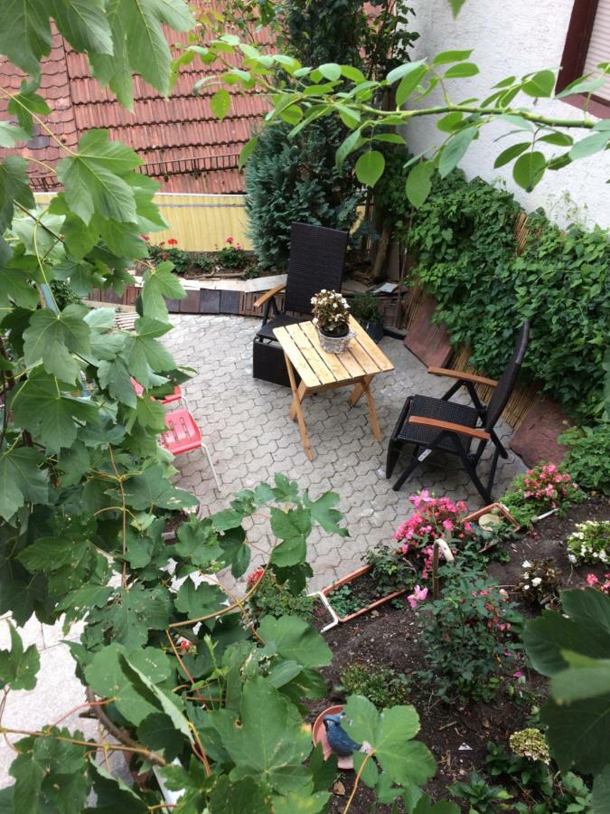 Natur Und Neckarblick Bei Heidelberg Hirschhorn Kültér fotó